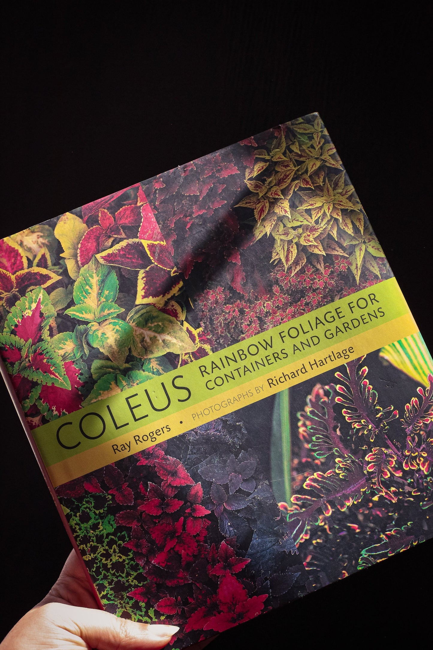 Coleus Rainbow Foliage for Containers & Gardens - Vintage Hardcover Gardening Book