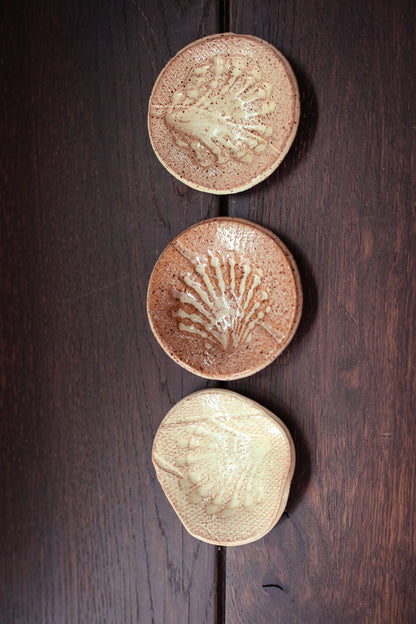 Hand Formed Shell Imprint Dishes - Vintage Petite Ceramic Decorative Plate