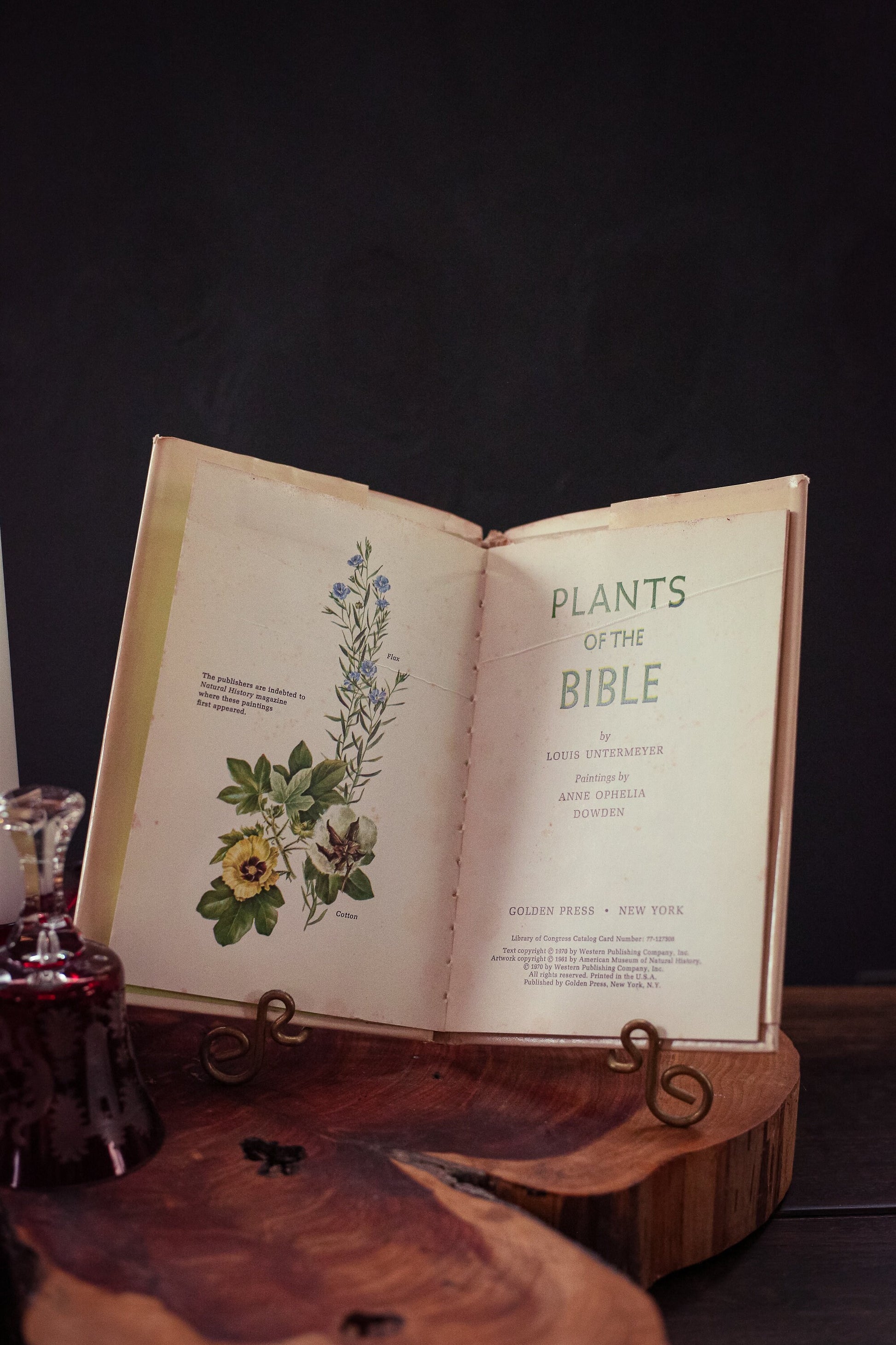 Plants of the Bible by Louise Untermeyer Illustrations by Anne Ophelia Dowden - Vintage Collectible Hardcover Book *See Condition Notes