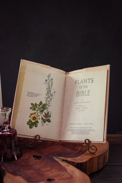 Plants of the Bible by Louise Untermeyer Illustrations by Anne Ophelia Dowden - Vintage Collectible Hardcover Book *See Condition Notes