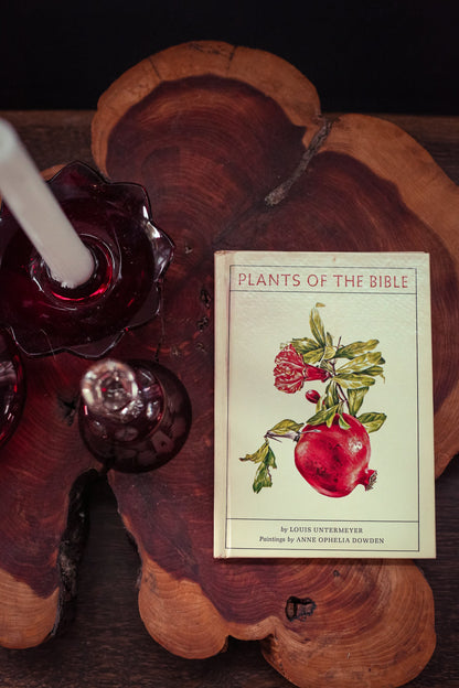 Plants of the Bible by Louise Untermeyer Illustrations by Anne Ophelia Dowden - Vintage Collectible Hardcover Book *See Condition Notes