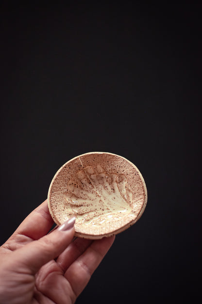 Hand Formed Shell Imprint Dishes - Vintage Petite Ceramic Decorative Plate