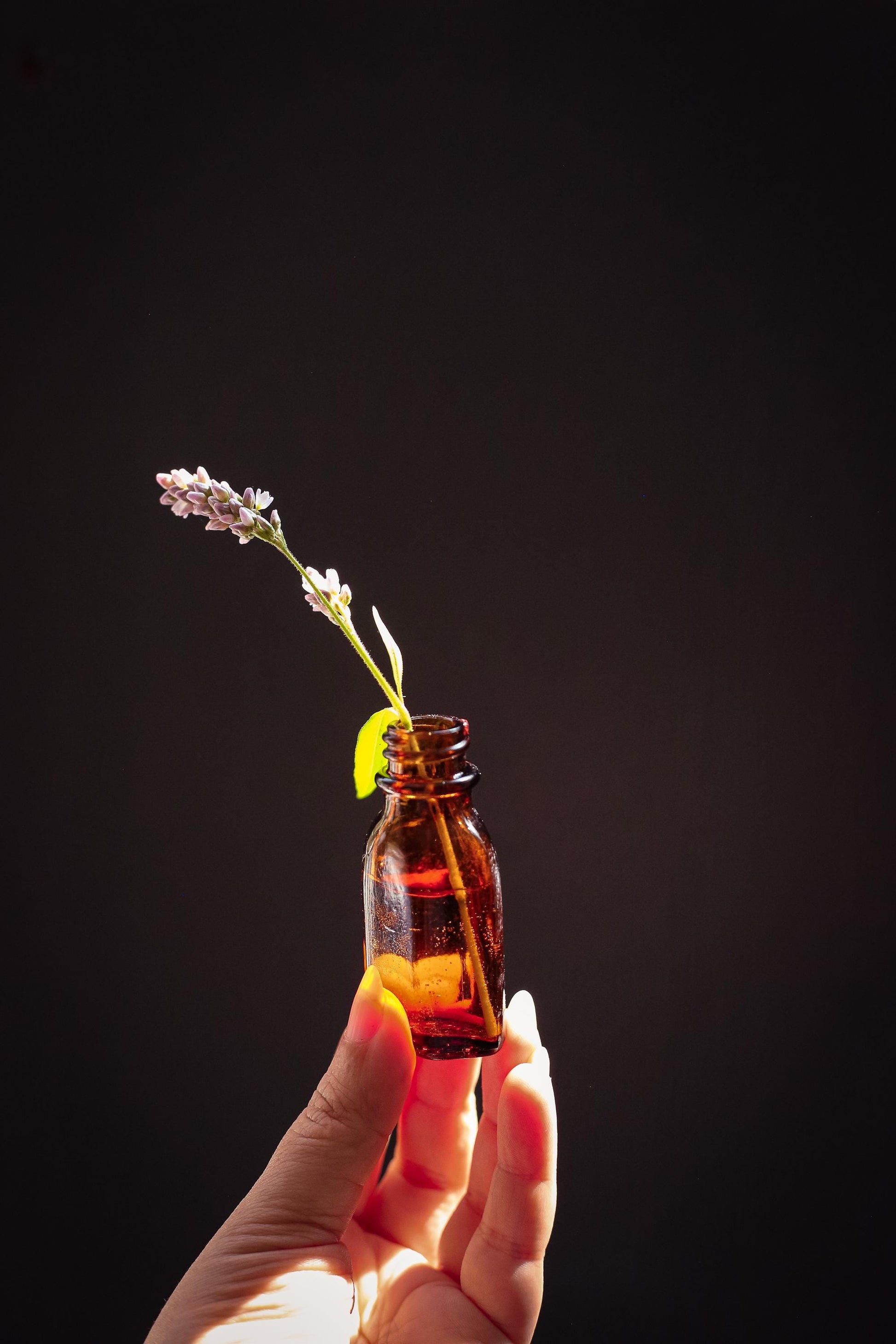 Set of 6 Brown Glass Apothecary Bottles - Vintage Antique Amber Glass Bottle Bud Vases