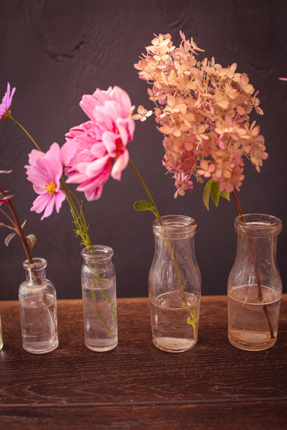 Set of 7 Small Glass Apothecary Bottles - Vintage Antique Clear Glass Bottle Bud Vases