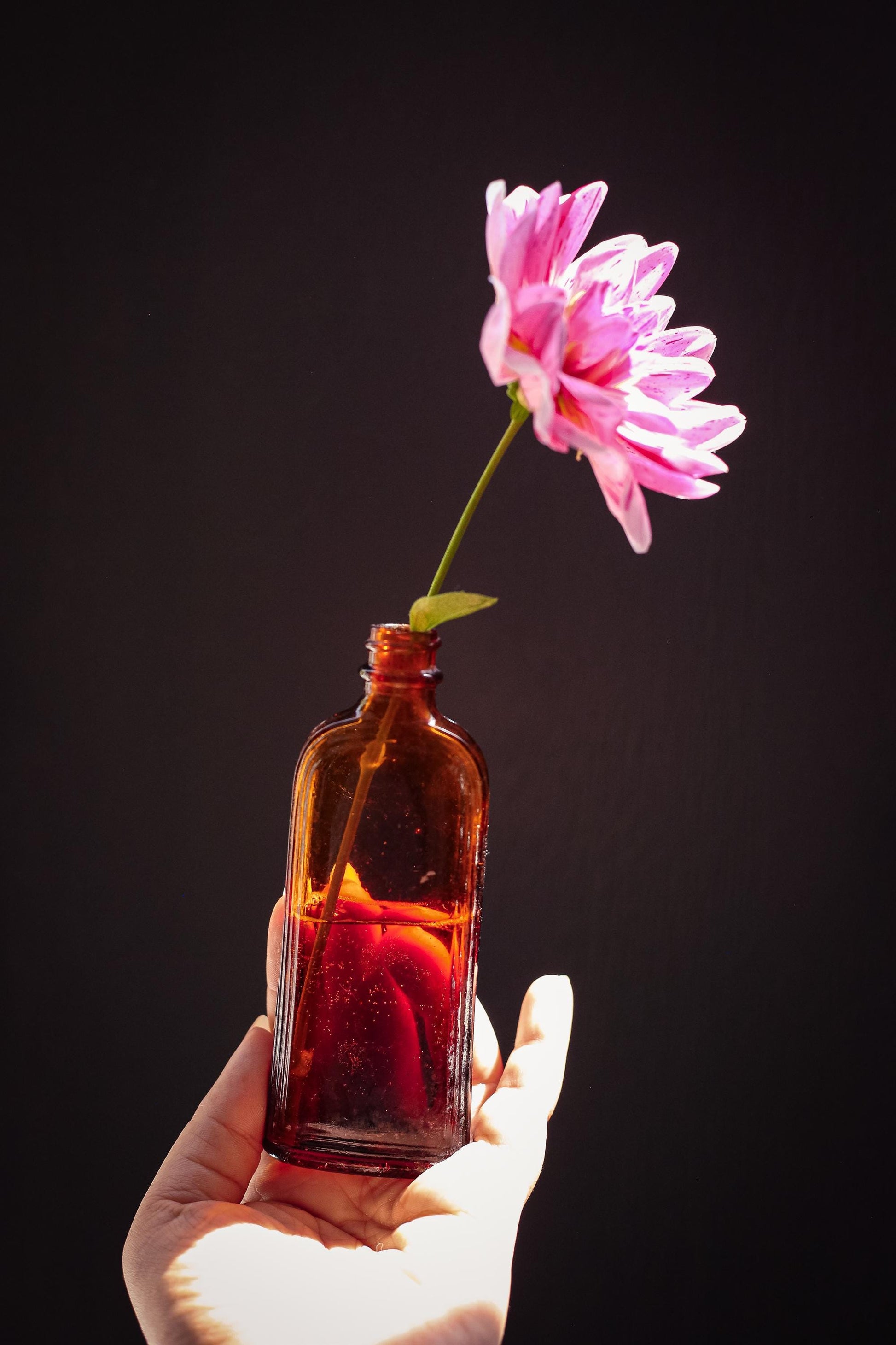 Set of 6 Brown Glass Apothecary Bottles - Vintage Antique Amber Glass Bottle Bud Vases