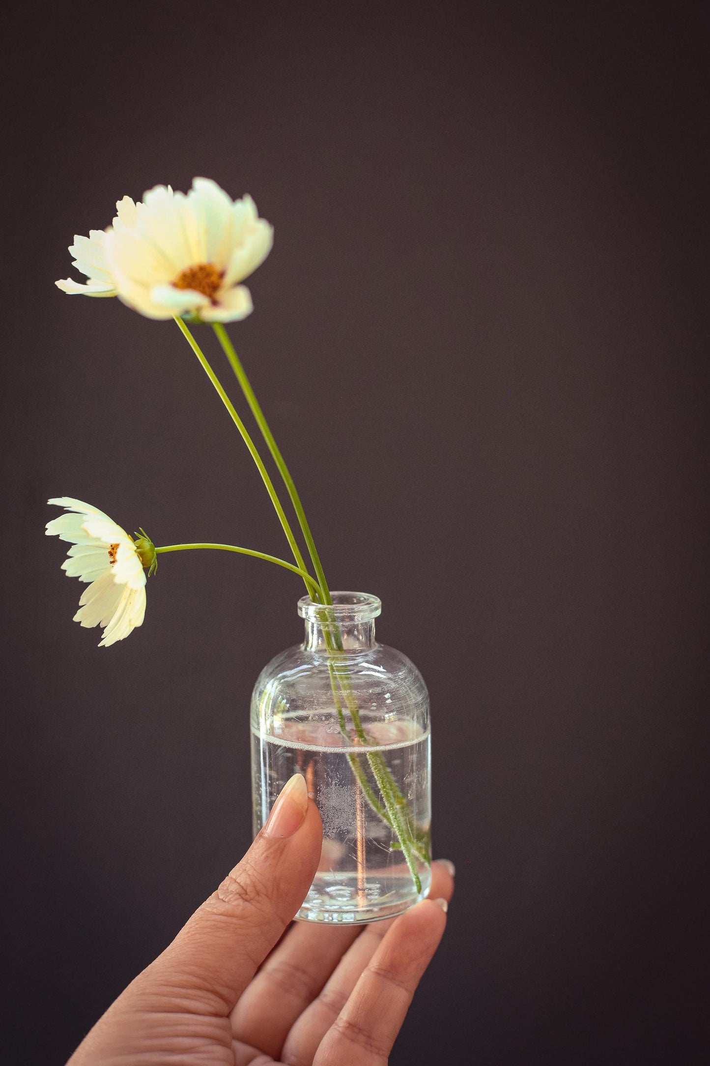 Set of 7 Clear Glass Apothecary Bottles - Vintage Antique Clear Glass Bottle Bud Vases