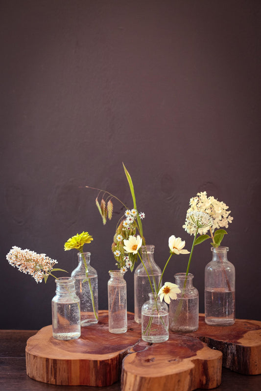 Set of 7 Clear Glass Apothecary Bottles - Vintage Antique Clear Glass Bottle Bud Vases