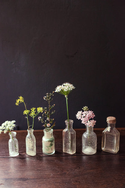 Collection of Six Antique Miniature Bottles Vials - Antique Glass Bottles for Bud Vase or Display