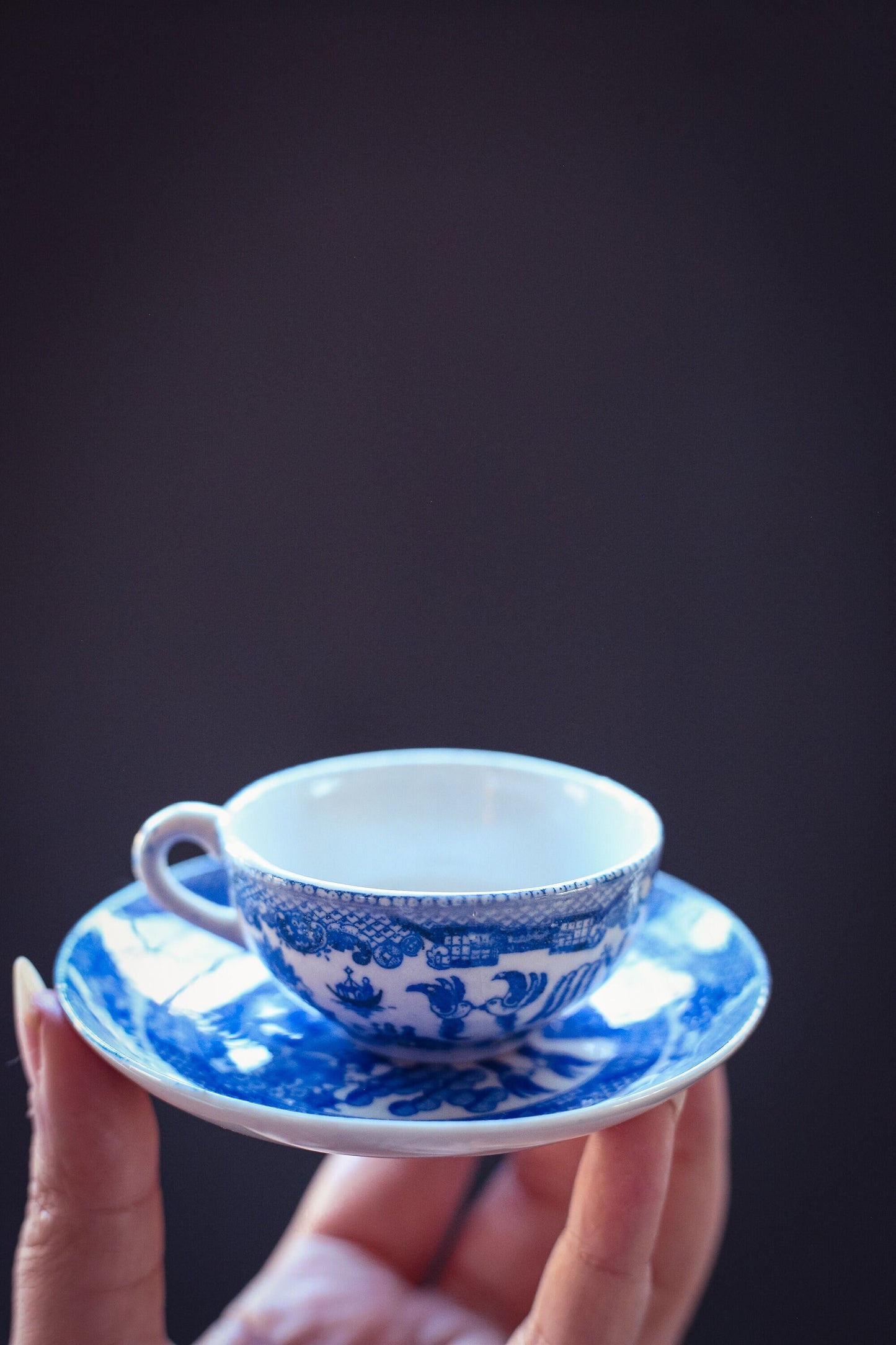 Japanese Blue Willow Cup Saucer - Vintage Small Blue Willow Made in Japan