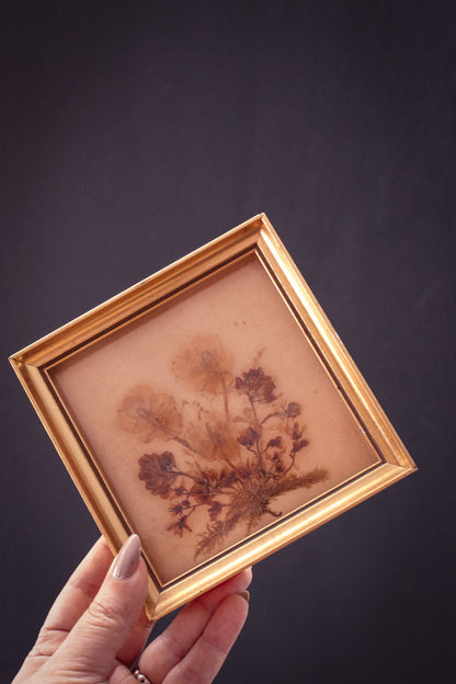 Set of 3 Pressed Flowers in Frames - Vintage